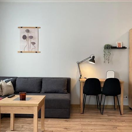Apartament Gorna 33 Лодзь Экстерьер фото